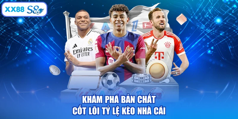 Khám phá bản chất cốt lõi tỷ lệ kèo nhà cái